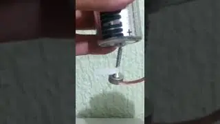 Motor Homopolar