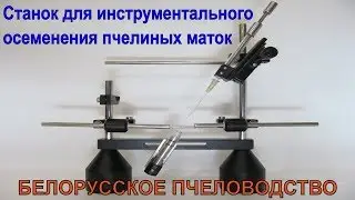 Machine for instrumental insemination of queen bees New model channel BELARUSIAN BEEKEEPING