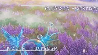 ' Maple - Suckerrr ft. blackwinterwells (Slowed + Reverb)