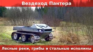 Вездеход Пантера. Штурмуем лесные реки. Собираем строчки. Нашли заброшку.
