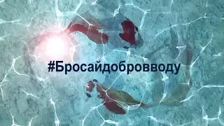 #БросайДоброВВоду
