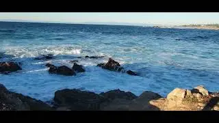 Peaceful sounds of the beautiful ocean @ Pebble Beach!