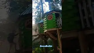 Kids Tree Canopy Adventure at Grouse Mountain #yestoadventures #grousemountain #grousegrind #famhike