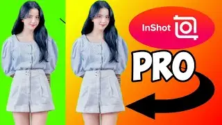 How To Remove Green Screen In Inshot Like Pro