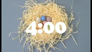 4 Minute Countdown Timer | EASTER EGG NEST, SPRING | Alarm Bell Tone
