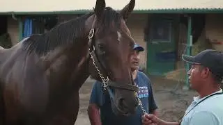The Team Behind the Undefeated Racehorse Flightline