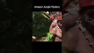 Amazon Jungle Mystery 