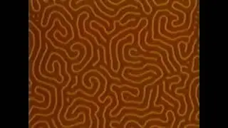 Прозрачные магниты Леннаучфильм