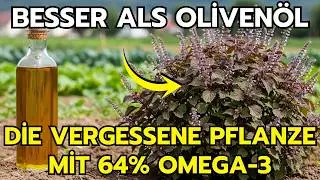 A 5,000-year-old secret: More Omega-3 than salmon, better than olive oil.
