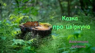 КАЗКА ПРО ЦВІРКУНА В  Дубініна