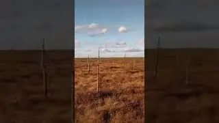 Лето