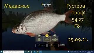 рр4! Медвежье Густера троф закрыл картинку!!!
