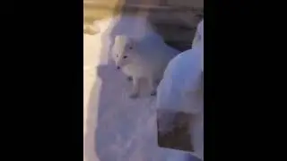 писец😊😊 😊👍👍👍👍