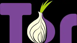Полная анонимность в интернете или что такое TOR