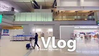 last US vlog | Charter flight US to VN | cách ly ở Hội an