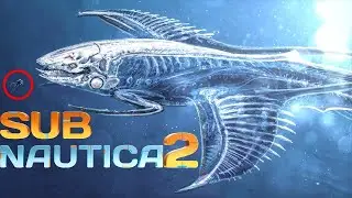 Subnautica 2 | What Happens If You Go Outside the Map | Dead zone. Edge of the map