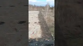 Строитель от бога #shorts