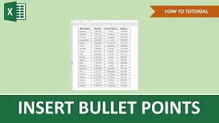 How To Insert Bullet Points In Excel | Beginner Tutorial