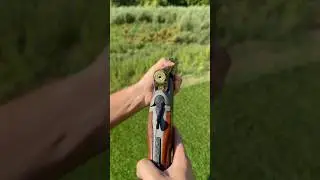 Blaser BBF 95 Review