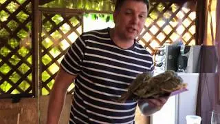 Караси жаренные во фритюре.Готовим в Сибирских условиях!))
