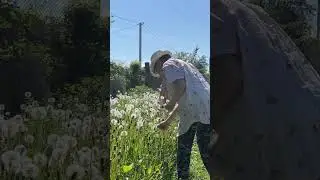Первый день лета ☀️