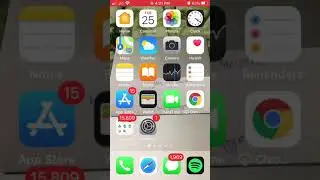 Switch to Black and White mode in iPhone