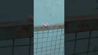 #crackers