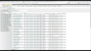 Move Data Base While Migrating Website