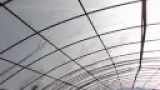 The $Au200 Greenhouse