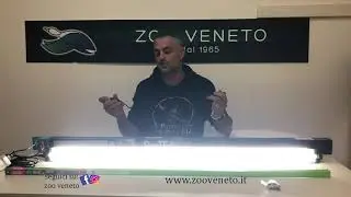 NUOVISSIMO KIT PRO T5 UVB 54 WATT | L'ILLUMINAZIONE PERFETTA PER I VOSTRI UCCELLI