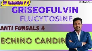 Griseofulvin Malayalam Flucytosine Echinocandin Antifungals Malayalam Pharmacology