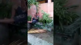 Pemain bal balan bokep pan