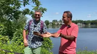 پرسش و پاسخ در مورد رانندگی.    اسراری 4384968149
