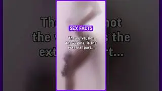 The vulva, not the vagina, is the external part of the female genitalia. 