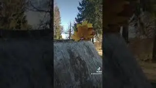 осень. прекрасная погода. мы деревенские .