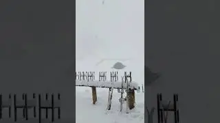 Снежный апркалипсис в горах Красной Поляны начался ‼️