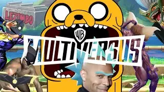 The Multiversus Experience
