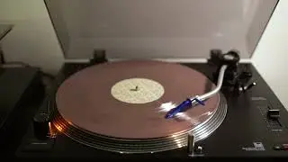 Ditz - Summer Of The Shark - vinyl