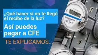 Cómo pagar el recibo de luz CFE si no me llegó o lo perdí | Dinero en Imagen