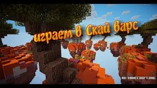 Играем в Sky wars