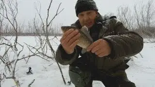 Карась в снежную погоду на Донском озере .