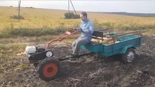 По бездорожью на мотоблоке! Пришло время свозить тыкву!