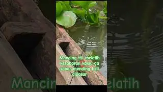 #mancing #strikeudang #udanggalahmonster #matapancing