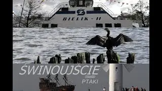 Świnoujście - Miasto ( ptaki-1) # 14
