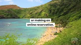 Quick Pick Newsletter: Hanauma Bay | Stott Real Estate, Inc.