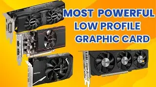 Best Low Profile Graphics Card 2024