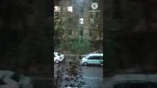 Первый снег. 29/10/23 🎼