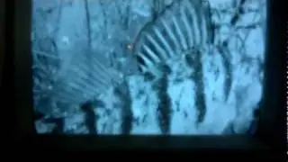 Underwater Camera, Fish TV7 - Ice fishing lake Scugog