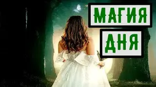 магия дня