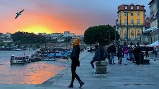 Porto, Portugal — Video Walk 🇵🇹